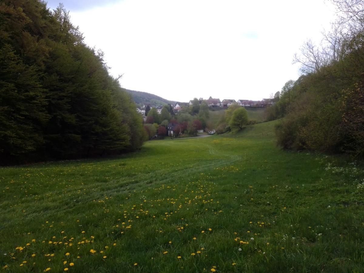 דירות Messinghausen Lavender Hill מראה חיצוני תמונה